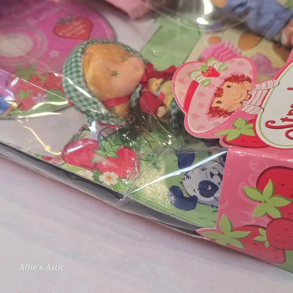 Strawberry Shortcake Berry Sweet Sisters DVD Apple Dumpling Vintage Toy Doll New